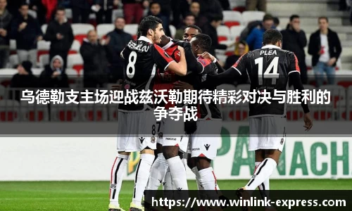 乐动LDSports官网