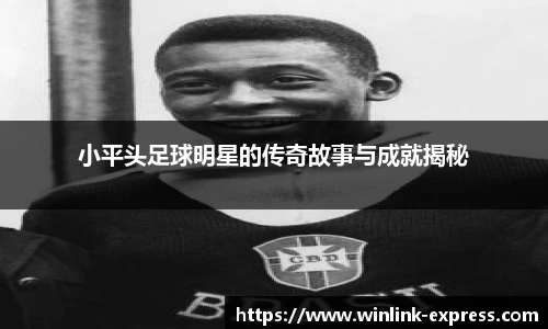 乐动LDSports官网